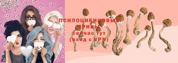 экстази Михайлов