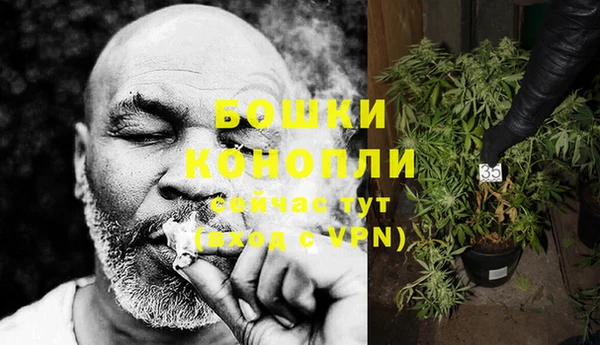гидра Мегион