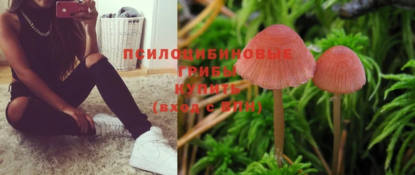 экстази Михайлов