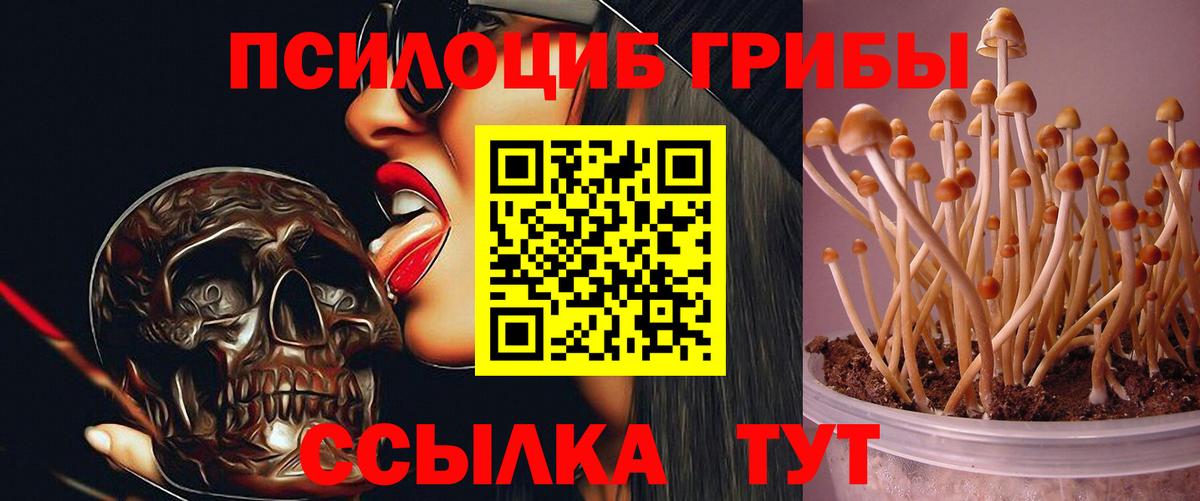 Галлюциногенные грибы ЛСД  Вход с VPN  Изобильный 